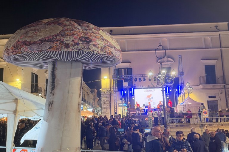 Minervino celebra il Fungo Cardoncello, Bevilacqua: «Simbolo di tradizioni, radici e territorio»