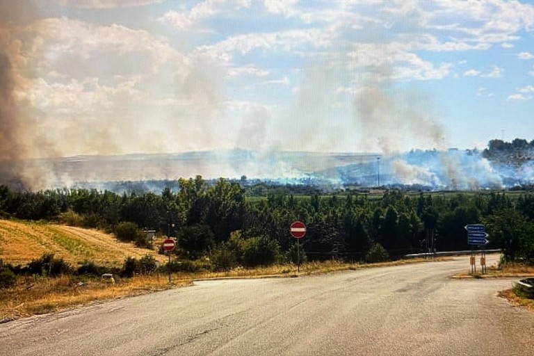 Incendio alla diga del Locone, domate le fiamme: il ringraziamento del sindaco