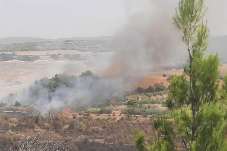 Vasto incendio tra Minervino e Spinazzola: interessata la località Diga Locone
