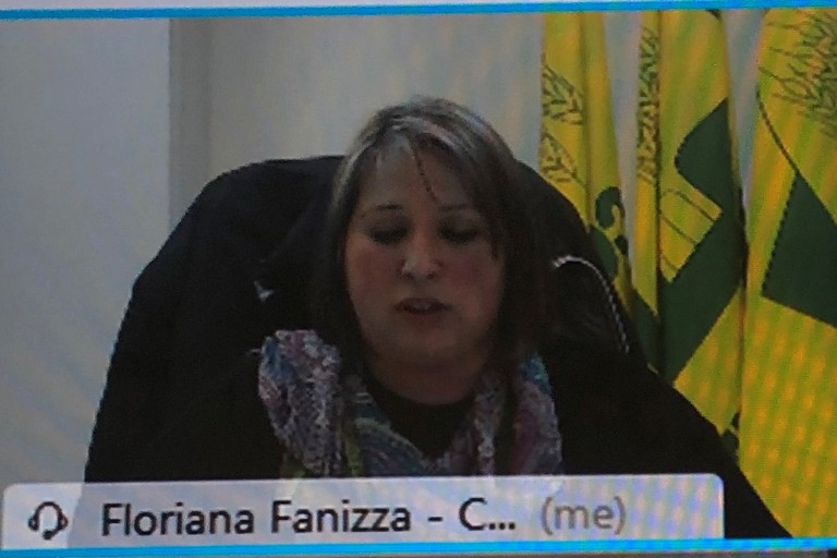 Fanizza