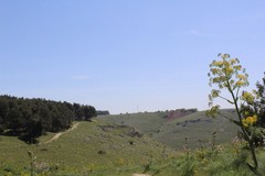 Oltre 200, provenienti da Andria, Minervino e Spinazzola per l'iniziativa "Palestranatura"