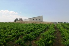 Domenica 31 Maggio è il giorno di Cantine Aperte 2015