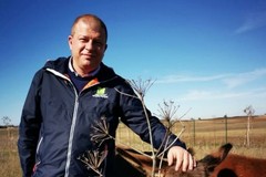 Francesco Tarantini non sarà più il presidente del Parco dell'Alta Murgia