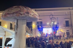 Minervino celebra il Fungo Cardoncello, Bevilacqua: «Simbolo di tradizioni, radici e territorio»