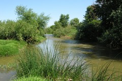 Il Parco del fiume Ofanto verso la trasformazione in Parco Nazionale
