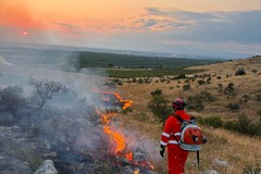 Ennesimo incendio tra Minervino Murge e Andria: fiamme domate in serata