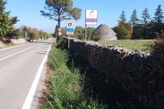 Manutenzione della segnaletica stradale, lavori in corso sulla SP 7