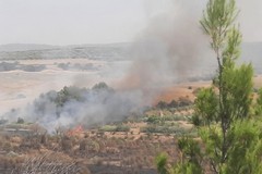 Vasto incendio tra Minervino e Spinazzola: interessata la località Diga del Locone