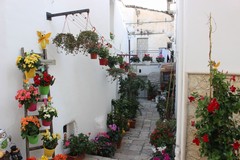 Tra musica, tradizioni tipiche e artigianato: è in arrivo a Minervino “Borgo in Festa”