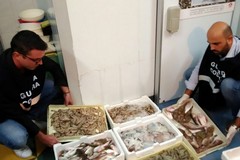 La Guardia Costiera passa al setaccio i ristoranti e le pescherie della BAT