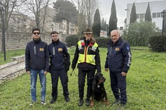 “Amico Brando”: si è svolta a Minervino un’attività cinofila dimostrativa dedicata ai più piccoli