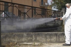 Interventi di disinfestazione a Minervino
