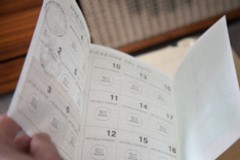 Elezioni amministrative Minervino 2026, affluenza ore 23: ha votato il 51,37% degli elettori
