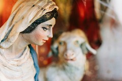 “Minervino Presepe di Puglia premia il presepe più bello”: la mostra concorso è aperta a tutti