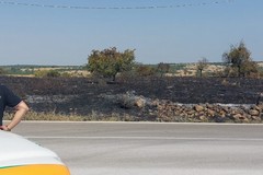 Incendio Castel del Monte, Montaruli e Zagaria: «L'accaduto è gravissimo»