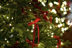 Tra magia e solidarietà: a Minervino prende il via la stagione natalizia