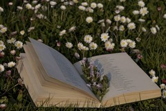 Letture a cielo aperto: domani l’evento a Minervino