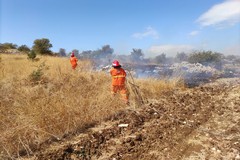 Brucia una pineta a Minervino Murge: a rischio oltre 400 ettari
