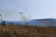 Incendio nell'agro di Minervino Murge, richiesto l'ausilio di un canadair