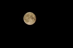 "La conquista della Luna": una serata tra storia e osservazione del cielo a Minervino Murge