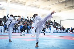Minervino Murge capitale del Taekwon-Do Itf