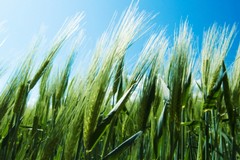 Inaugurazione della mostra “Il Paesaggio tra arte e scienza”