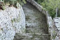 I volontari Lav ripuliscono il sentiero di Lama Matitani a Minervino