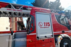 Incendio a ridosso della SP230 tra Minervino e Spinazzola