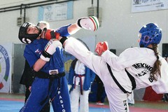 Grandi successi ai Campionati di Taekwondo a Minervino Murge