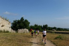 Trekking naturalistico nelle terre del fungo cardoncello