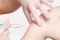 Vaccino per 5-11 anni, come prenotarsi a Minervino Murge