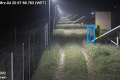 Tentato furto sventato in un campo fotovoltaico nell'agro di Minervino