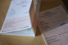 Referendum sulla Giustizia 2026, affluenza ore 12: a Minervino ha votato il 8,95%