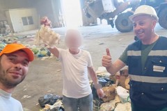 Getta per sbaglio 4mila euro nei rifiuti: recuperati grazie all'altruismo di un operatore ecologico