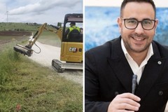 «Il Comune di Minervino seguirà con attenzione il piano d'azione per il contrasto alla diffusione della Xylella»