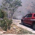 Incendio a Minervino, bosco e macchia mediterranea devastate dalle fiamme