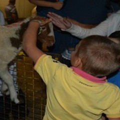 A scuola di ruralità