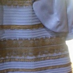 Dal web: «Di che colore è questo vestito?»