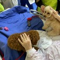 Pet Therapy all'hospice di Minervino Murge