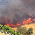 Fiamme sulla Murgia, paura a Minervino: scatta l’evacuazione nelle aree a rischio