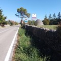 Manutenzione della segnaletica stradale, lavori in corso sulla SP 7
