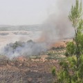 Vasto incendio tra Minervino e Spinazzola: interessata la località Diga del Locone
