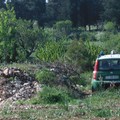 Agricoltore minervinese denunciato dai Carabinieri Forestali