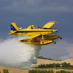 Protezione Civile: Ieri nuovamente in azione fire boss su Minervino Murge, loc. Campo Verde.