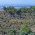 Lotta agli incendi boschivi, il Parco dell'Alta Murgia ha finalmente il suo piano di prevenzione