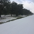 Neve e vento in arrivo, c'è l'allerta