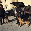 Occulta cocaina nelle tegole del tetto: pusher arrestato a Minervino