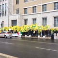 Protesta Coldiretti Puglia: in fumo olivicoltura pugliese 317mln euro persi e 1mln giornate lavoro azzerate