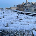 Prima neve dell'anno a Minervino Murge