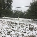 Maltempo, ancora allerta neve e vento